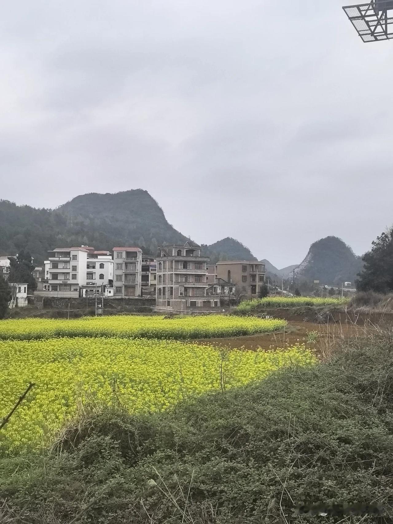 继续在路上

驾车疾驰，9：42驶出八桂之地，进入芙蓉国。

虽然高速路两侧的景