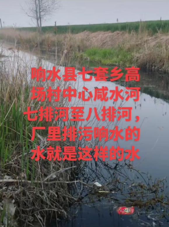 网友反映，盐城市响水县七套乡高场村中心咸水河（七排河至八排河段）疑似因工厂排污，