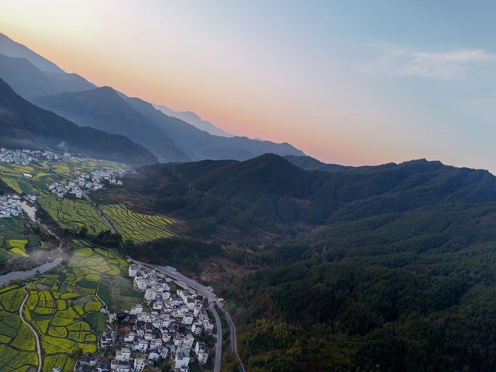 【分红约定】股东可以不按出资比例分红吗？核心观点：完全可以。法律允许股东通过协议