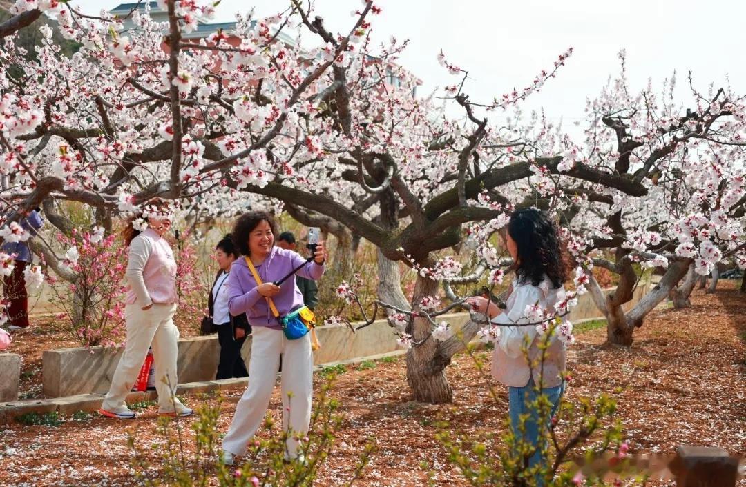 很少有地方能同时兼顾“参与感”和“留白感”，大孤山这波算一个。热闹是自然发生的，