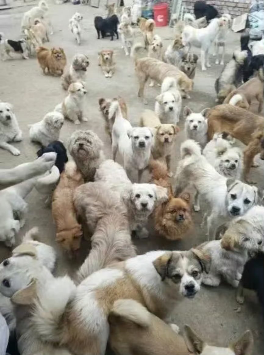 如图 
