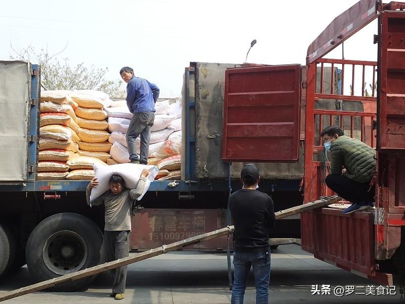 不出意外！
明年开始，大米、面粉、食用油等粮油或将迎来一轮新的行业洗牌！


前