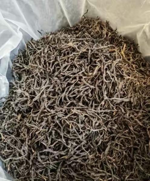 我先保留你提供的原文作为首段，再结合应届生就业现状、人物过往交情与生活细节续写，