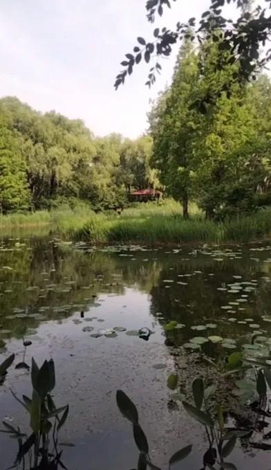 饭后漫步，
公园的景色如画，
心情也随之明亮。
库存的，济南森林公园