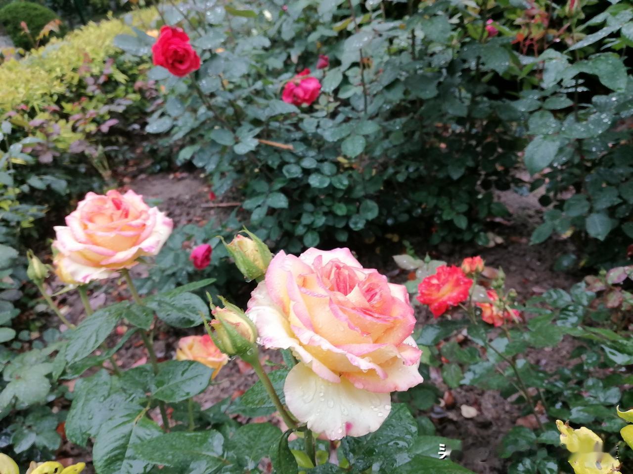 精明的理财者，从来不会抱怨市场时机不济、行情不给力。他们深知市场永远不缺机会，缺