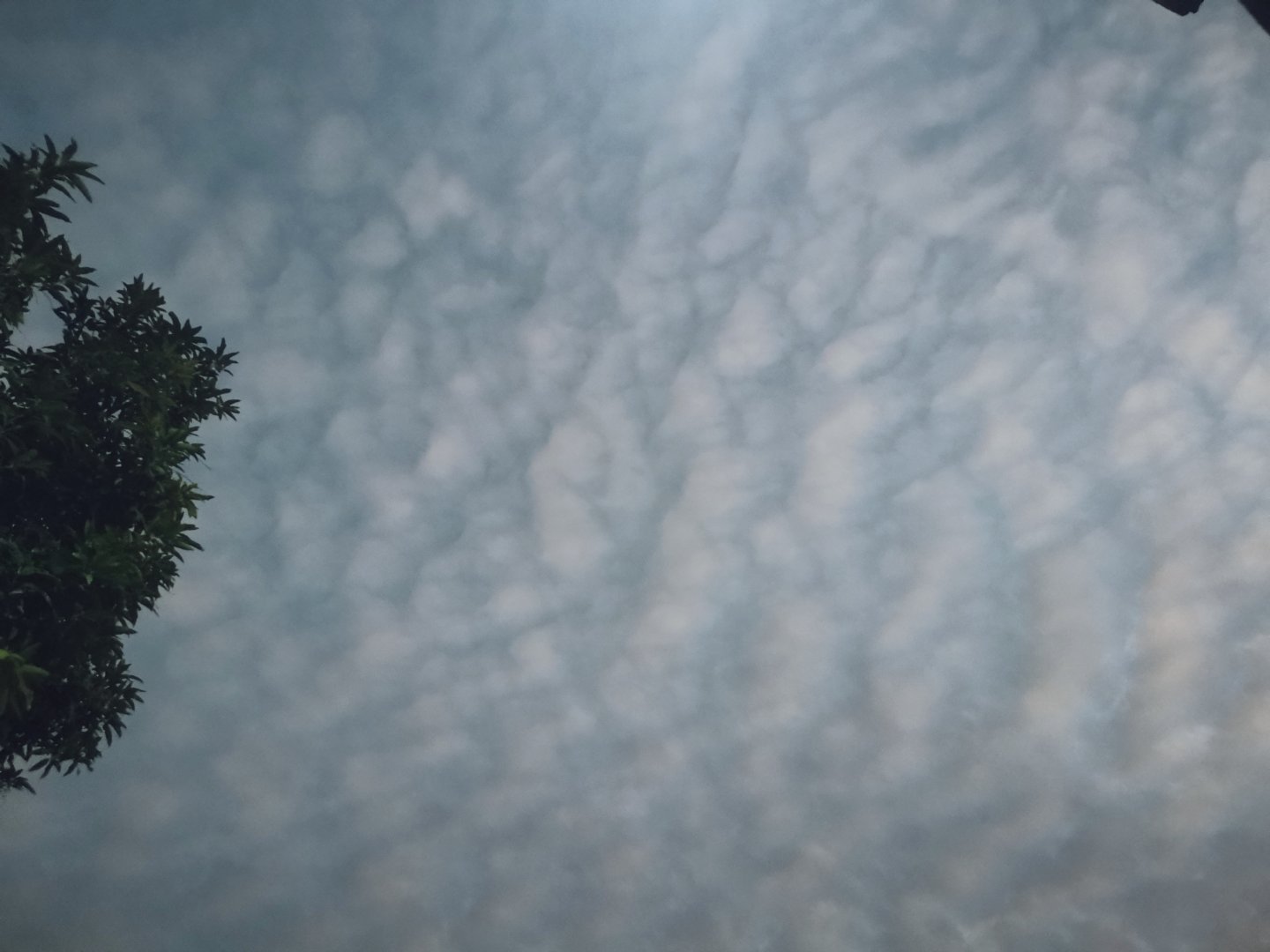 好漂亮的云云☁️ 