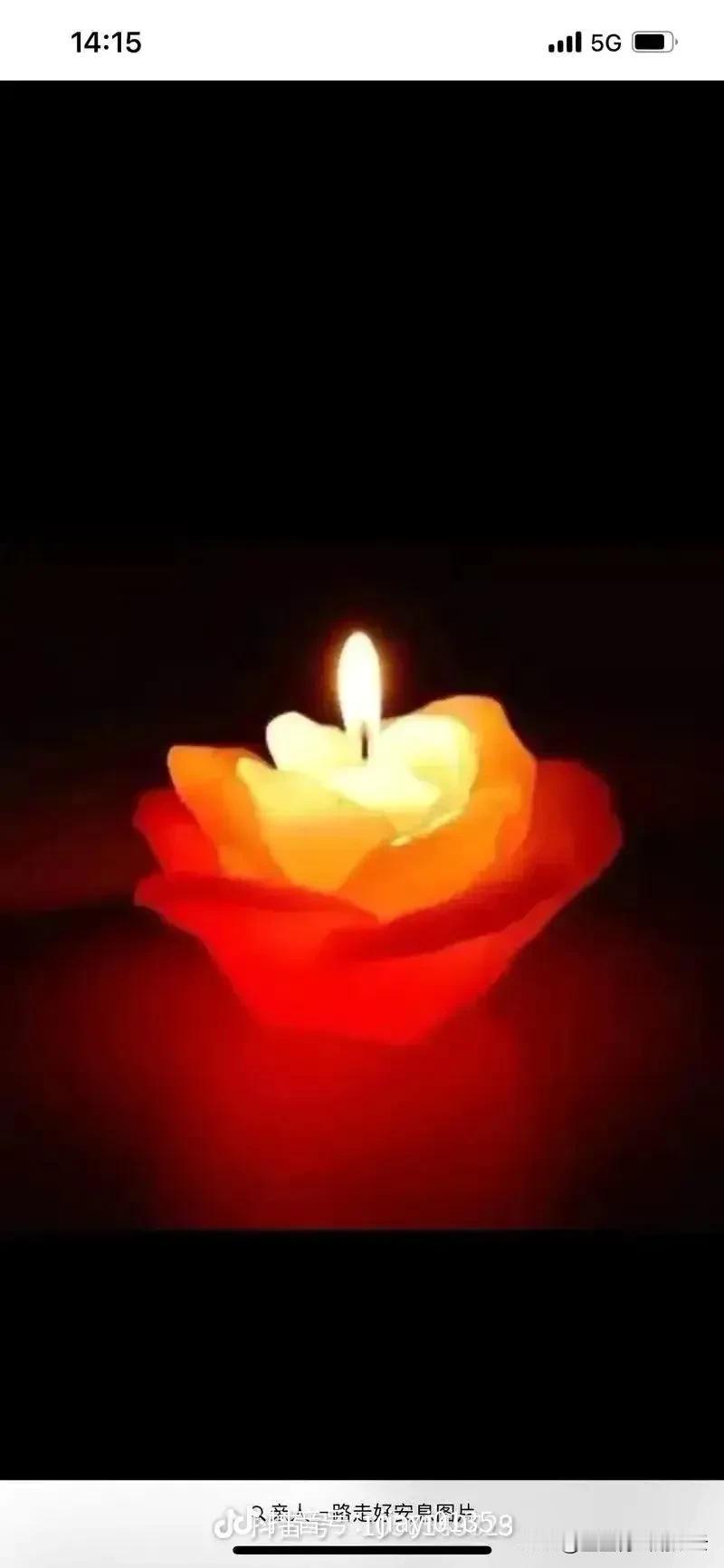 妈，今天是您的头七，全家人都非常悲痛啊！
一转眼，您已经离开我们七天了，您的突然