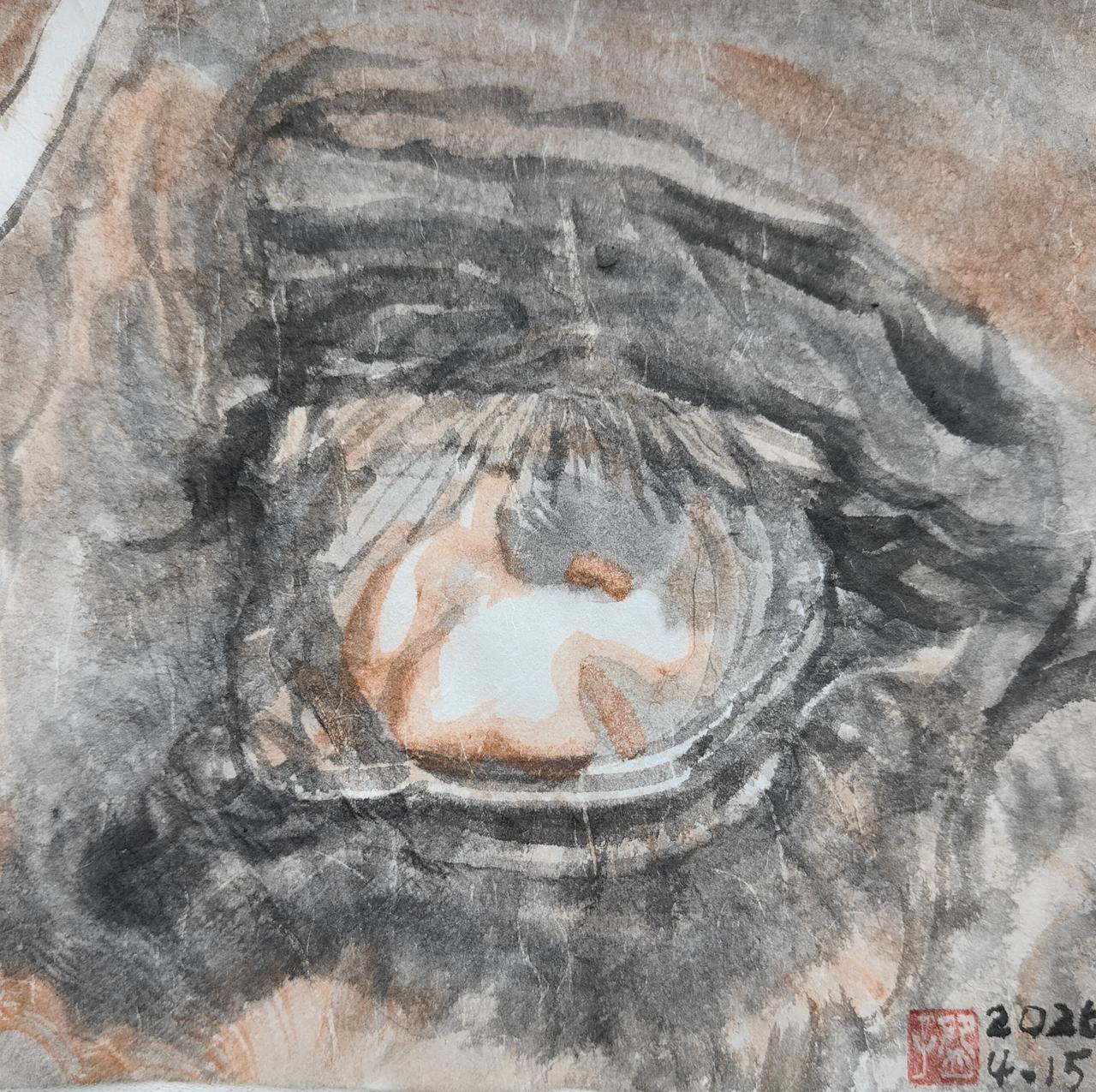 碗子的1/4平尺水墨《观》