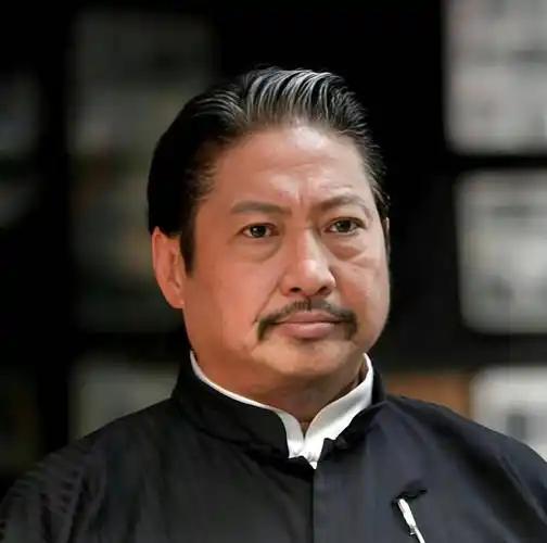洪金宝，1949年12月11日出生于中国香港，祖籍浙江宁波，坊间也流传1952年