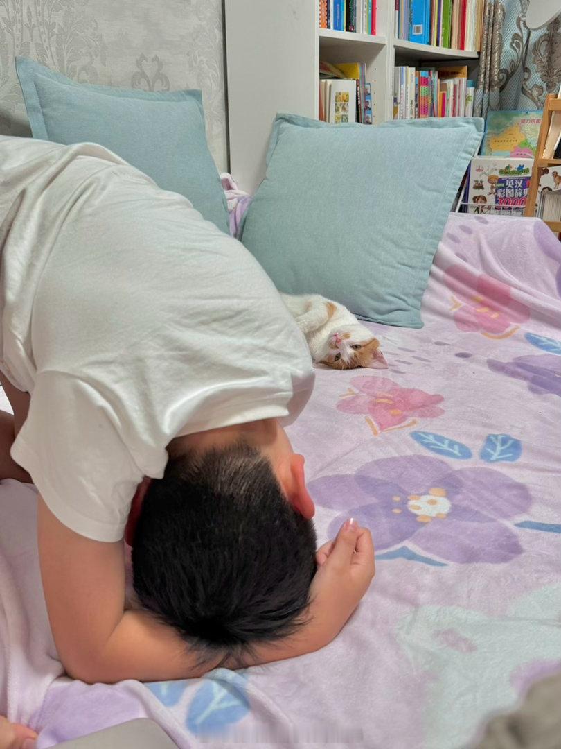 真的人类小孩24小时招猫又欠又烦[老师好][老师好][老师好] ​​​