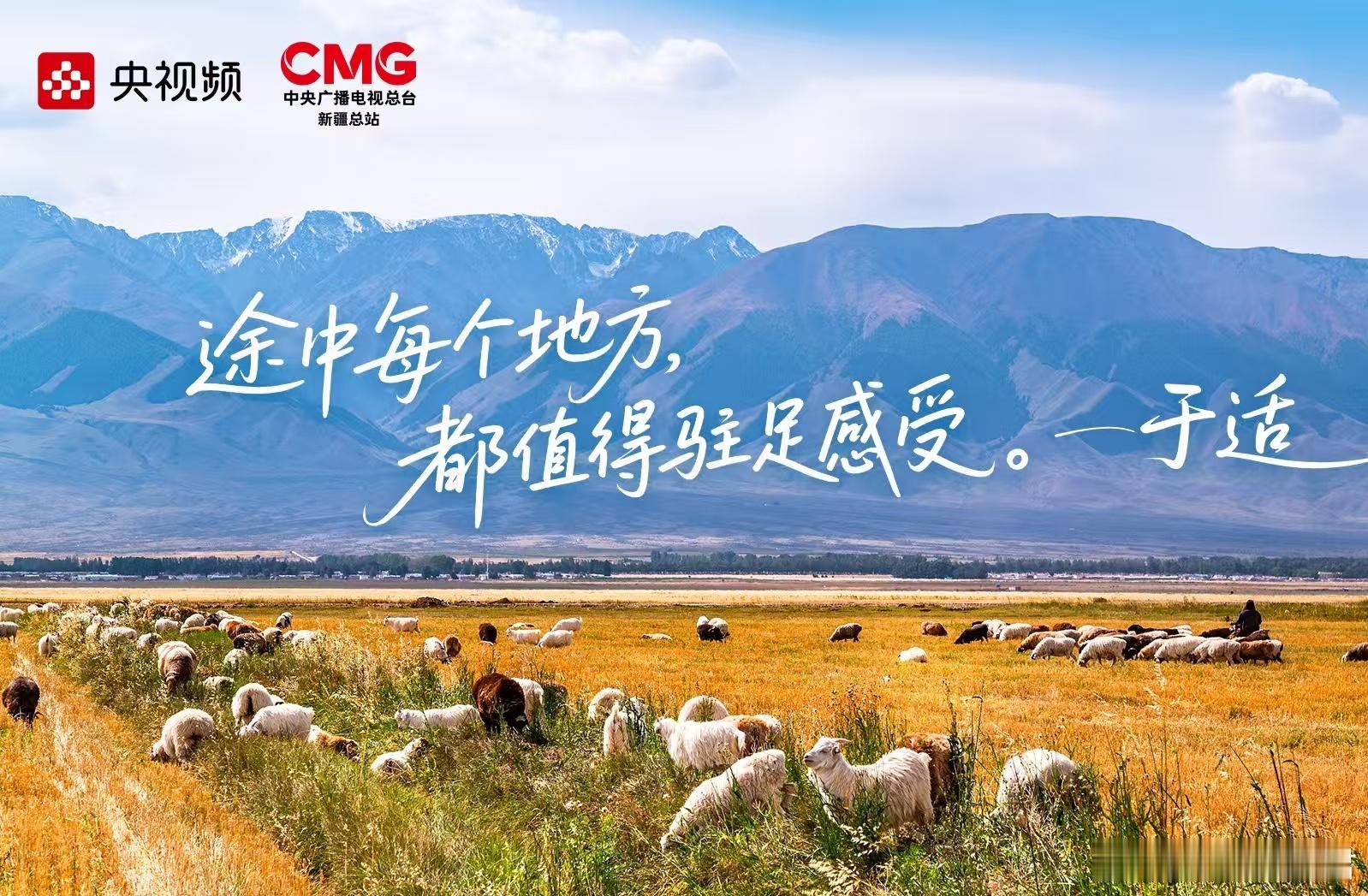 听于适说完我好想去新疆这个季节正是去新疆玩的好去处，各处美景都尽收眼底，太美了。