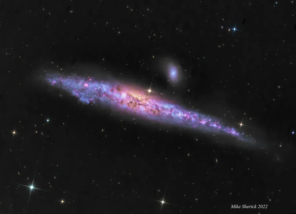 NGC 4631是一个美丽的大旋涡星系。银河系略微扭曲的楔形形状在某些人看来是“
