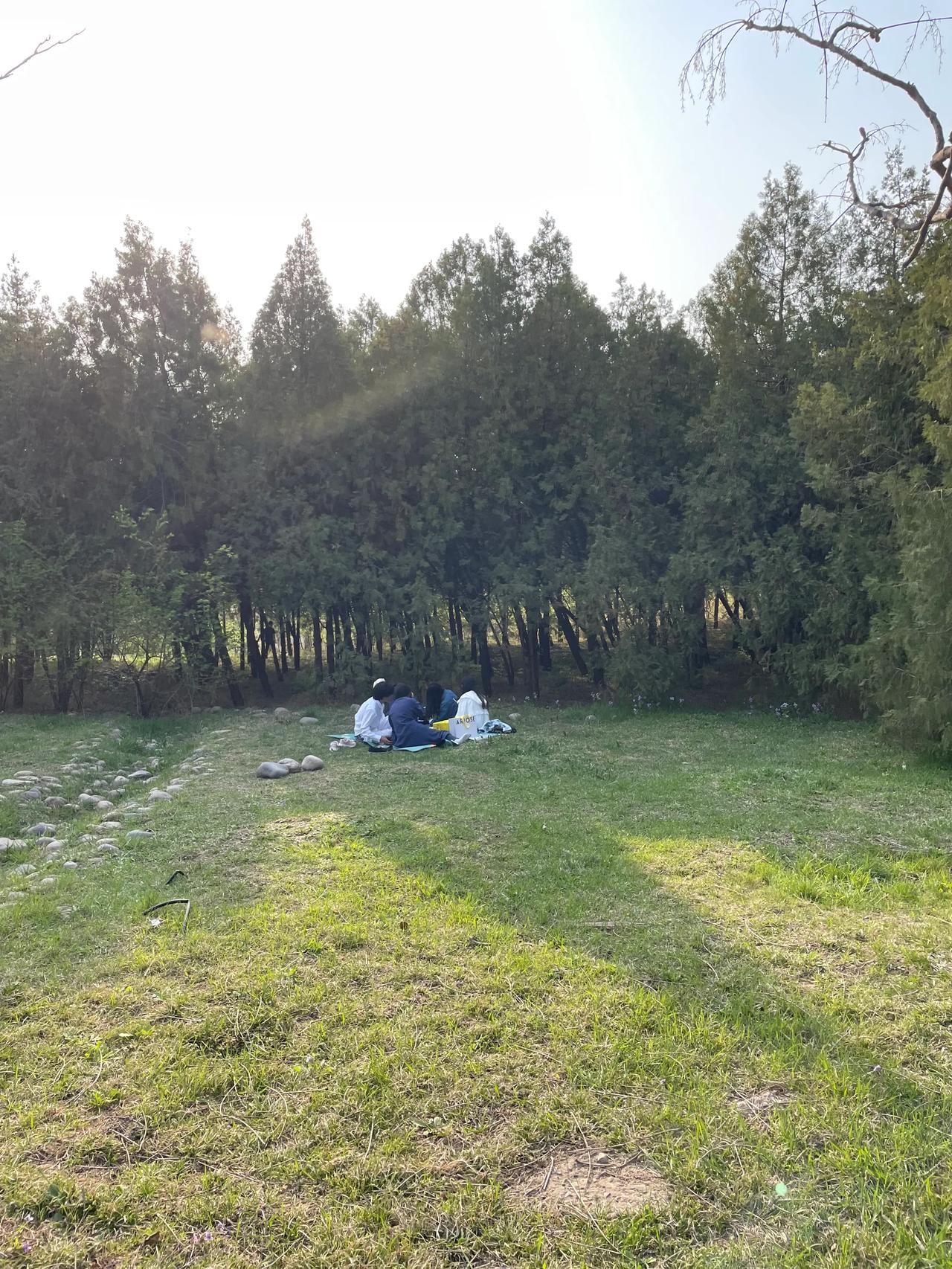 #春日生活打卡季# #春日暖心语录# #春日赏花时刻# 

慢下来
过春天

#