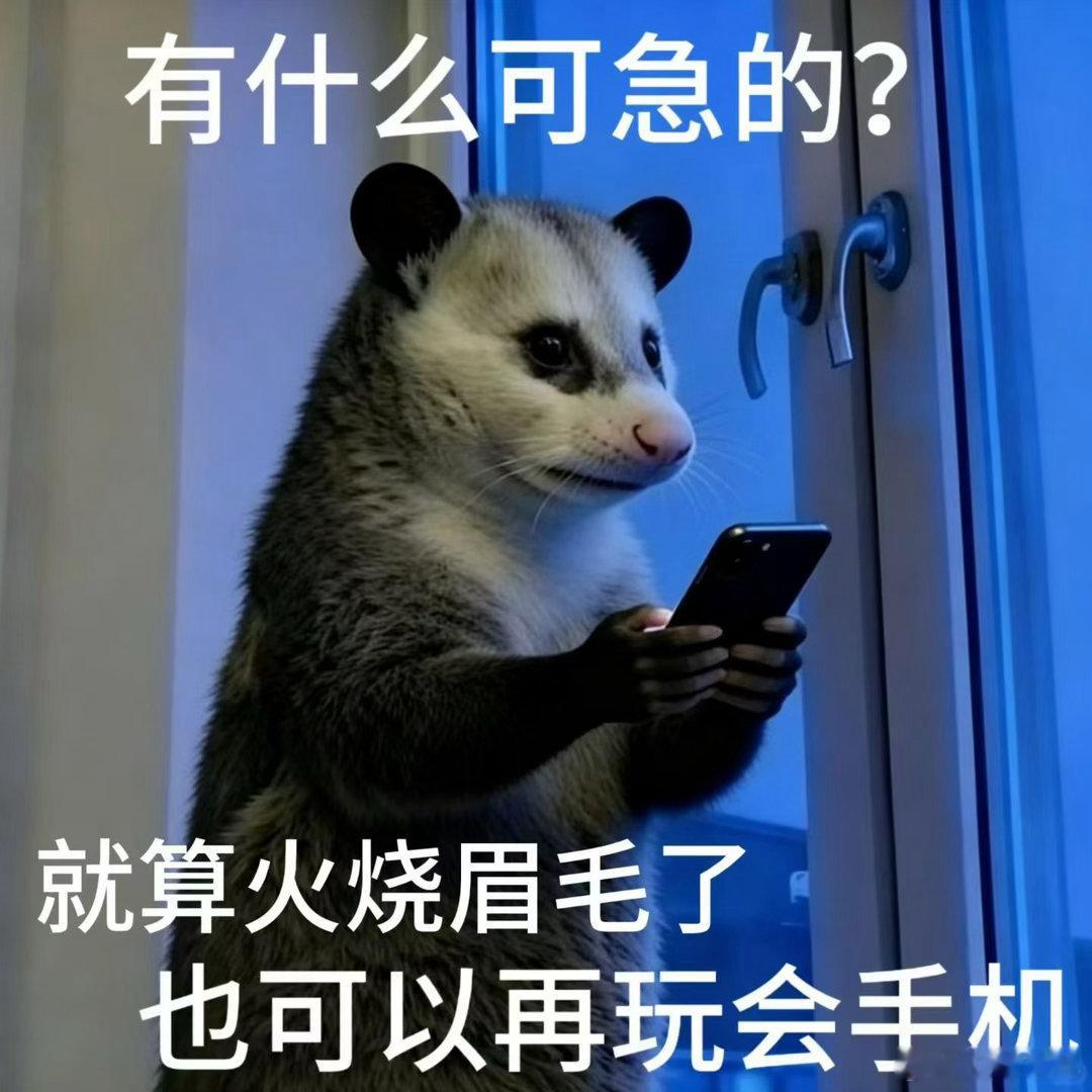 比收到更卑微的词出现了看到网友发的帖子“元气返岗”，真是有苦说不出，大概就是成年