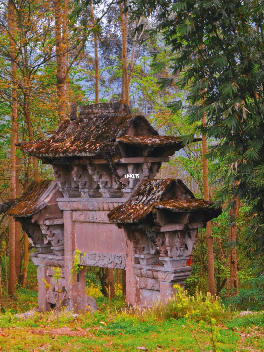 成都小众徒步地 | 油菜花地里的唐代古迹