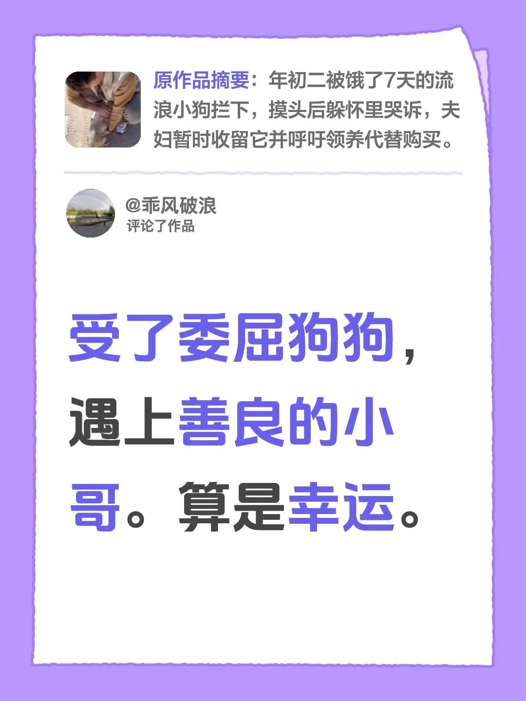 流浪狗。我评论了@臭宝麻麻-是哑铃呀 的作品：受了委屈狗狗，遇上善良的小哥。算是