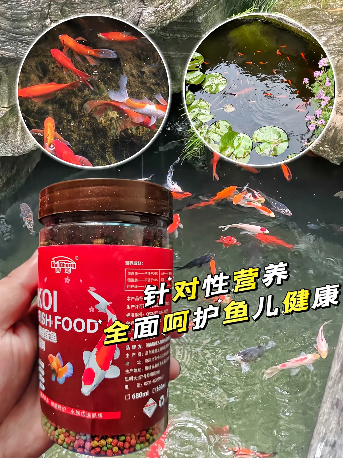 性价比超高的一款锦鲤金鱼饲料，三合一通用鱼粮，营养丰富，适口性好，大小...