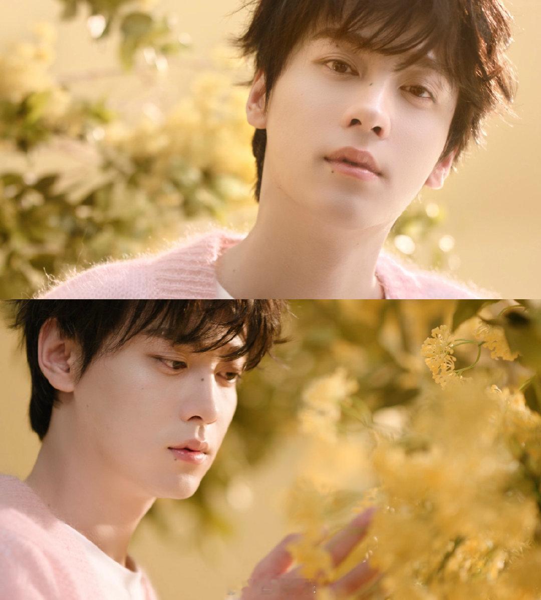 田栩宁说真的很香 半亩花田官宣了田栩宁为半亩花田百万棵树计划公益合伙人，这波对田