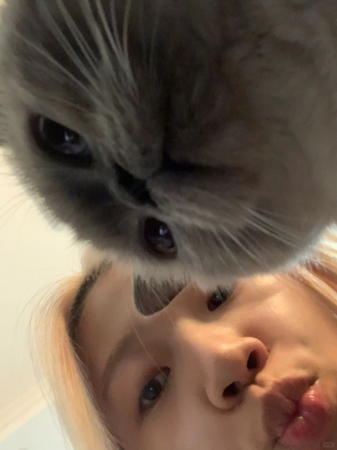 自拍失败的原因很大一坨