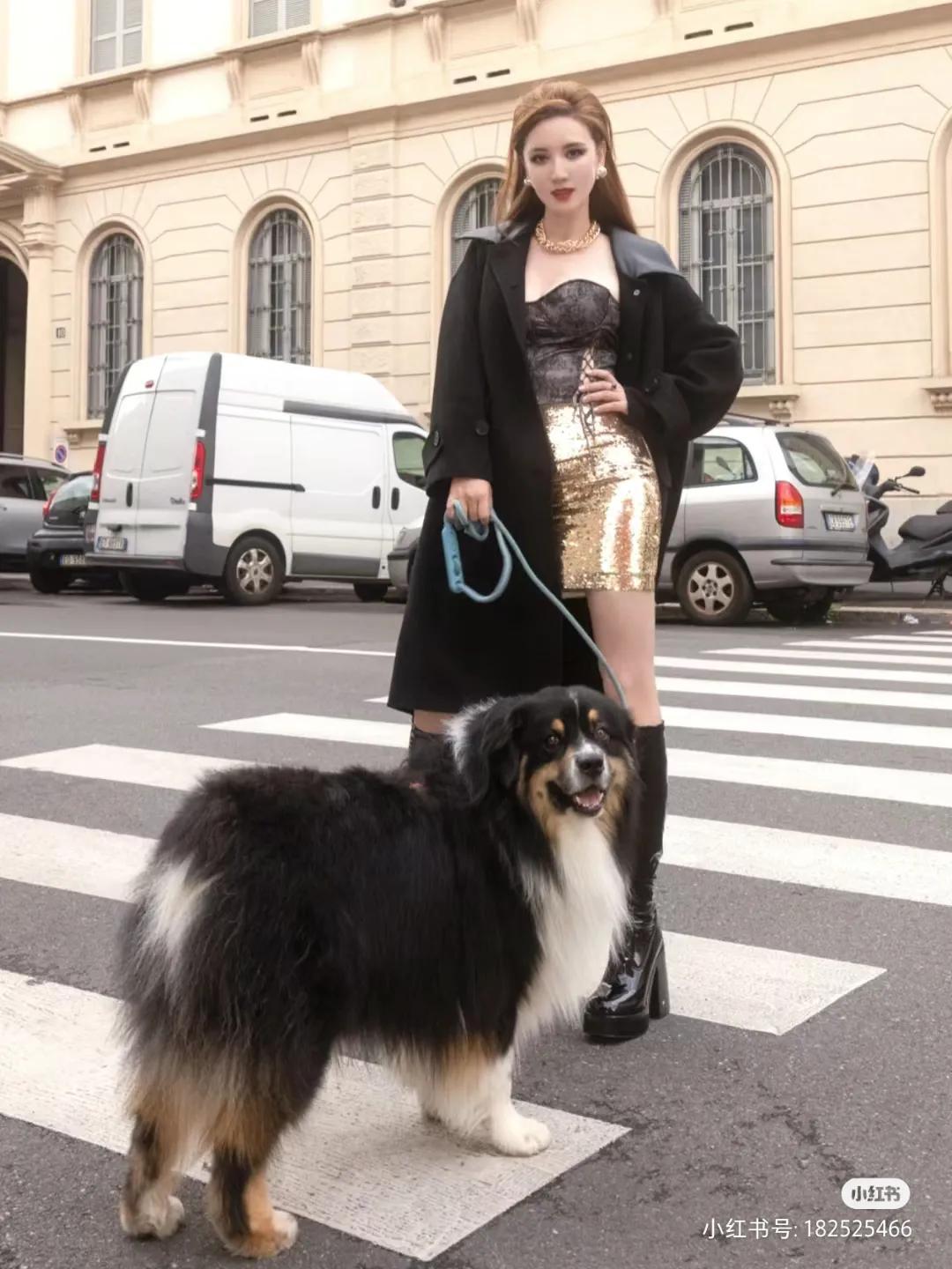 美女与野兽[看]