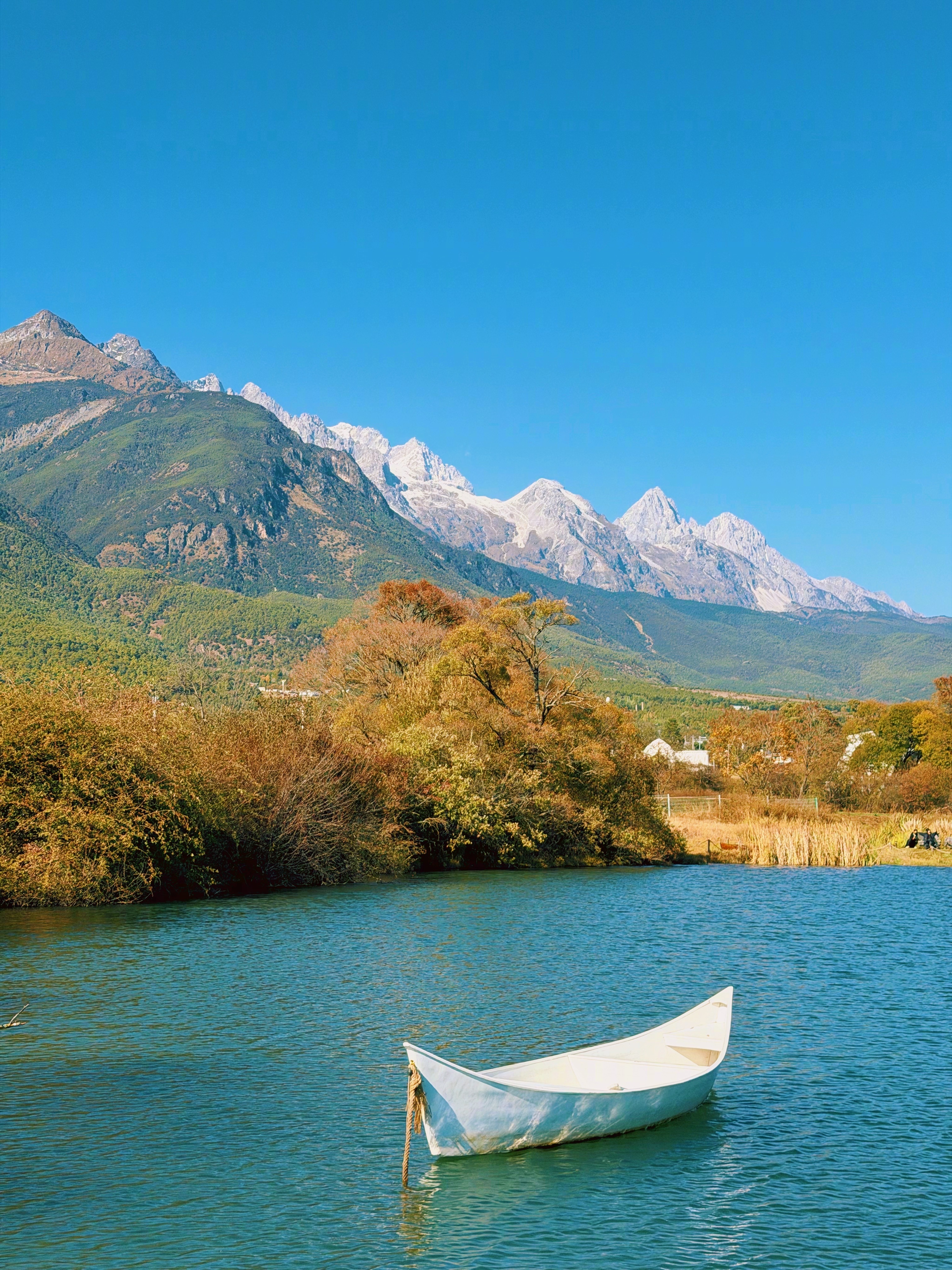 用别人的语言，别人的叙事，你永远也理解不了自己。———《半山文集》 