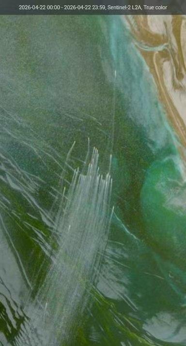 Sentinel-2卫星拍到惊人画面，33艘伊朗快艇集群“狼群”突击，火力打击1