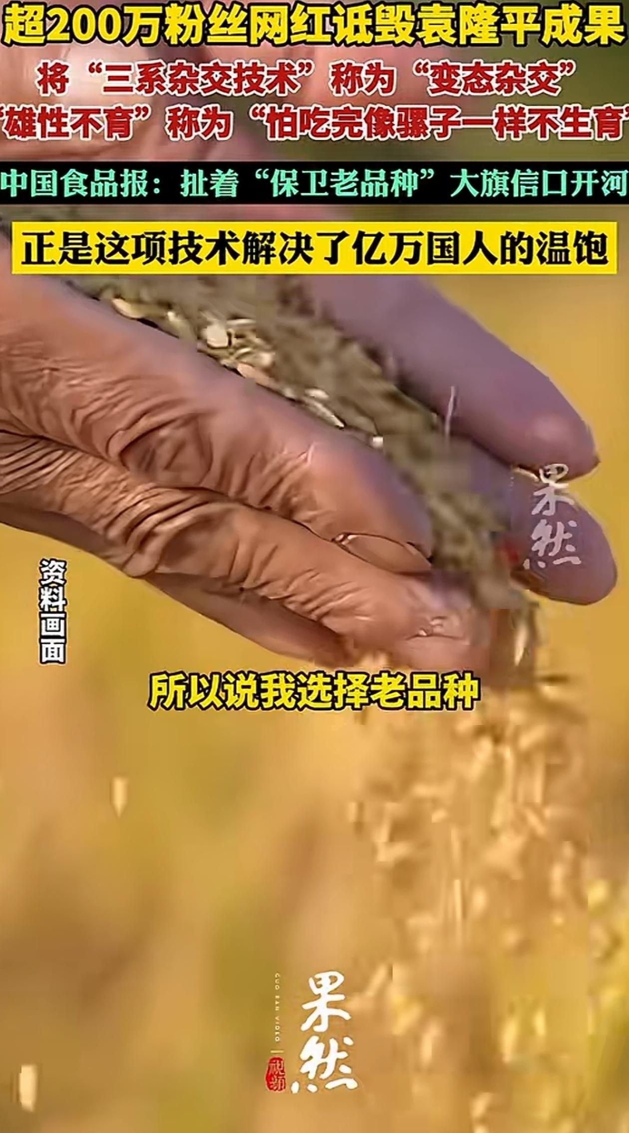 两百万粉丝的农业网红，打着“保卫老种子”的旗号，在视频里大放厥词。

他把“三系