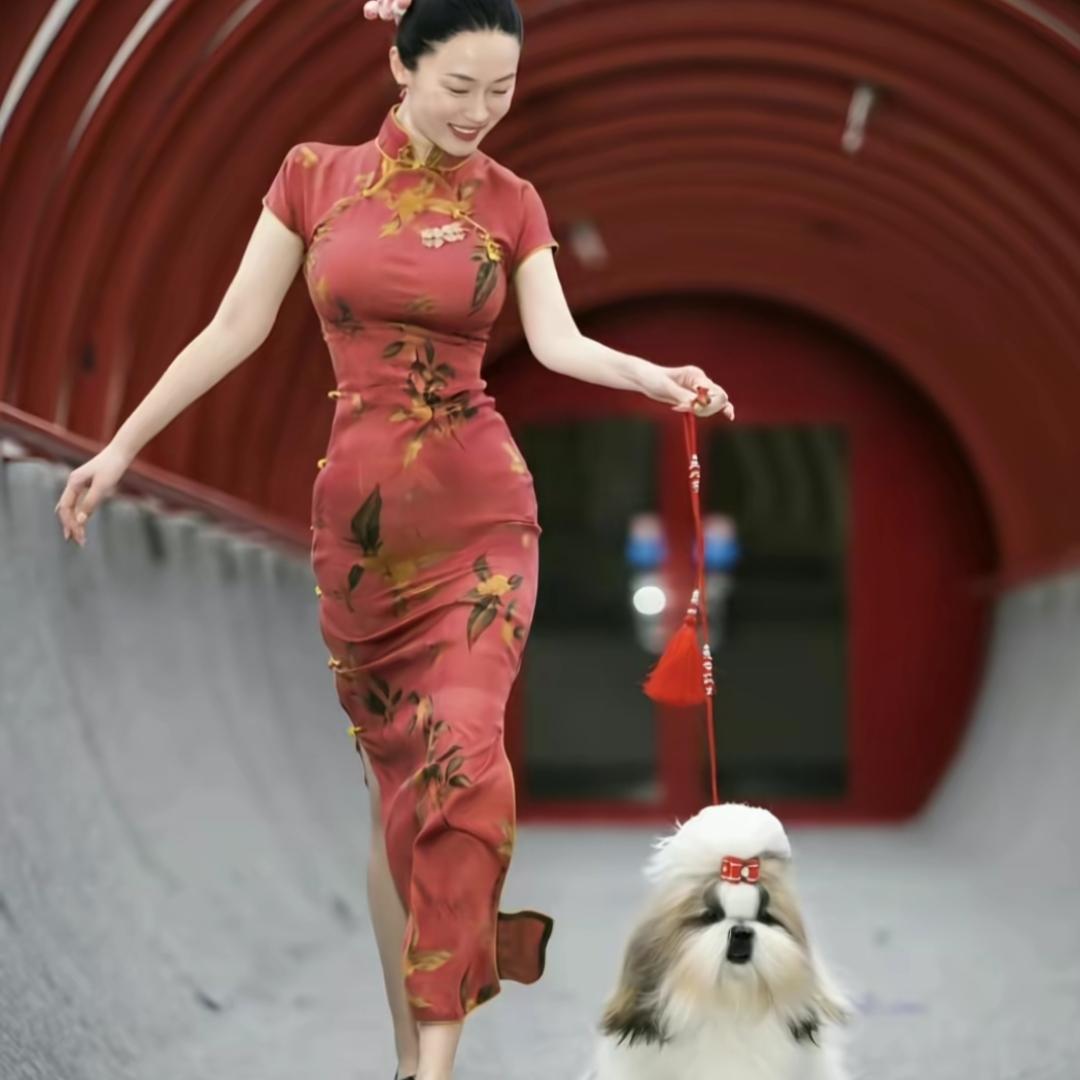 2025年12月20日，
霍思燕身着金丝刺绣红色旗袍，
手牵佩戴五星红旗蝴蝶结的