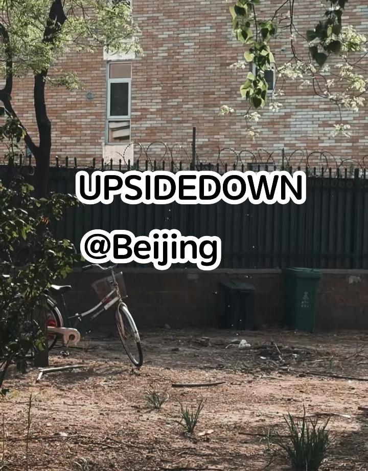 又北京｜谁家柳絮这么糊脸
虽然但是满脸毛毛柳絮杨絮快离开也是沉浸式upsided