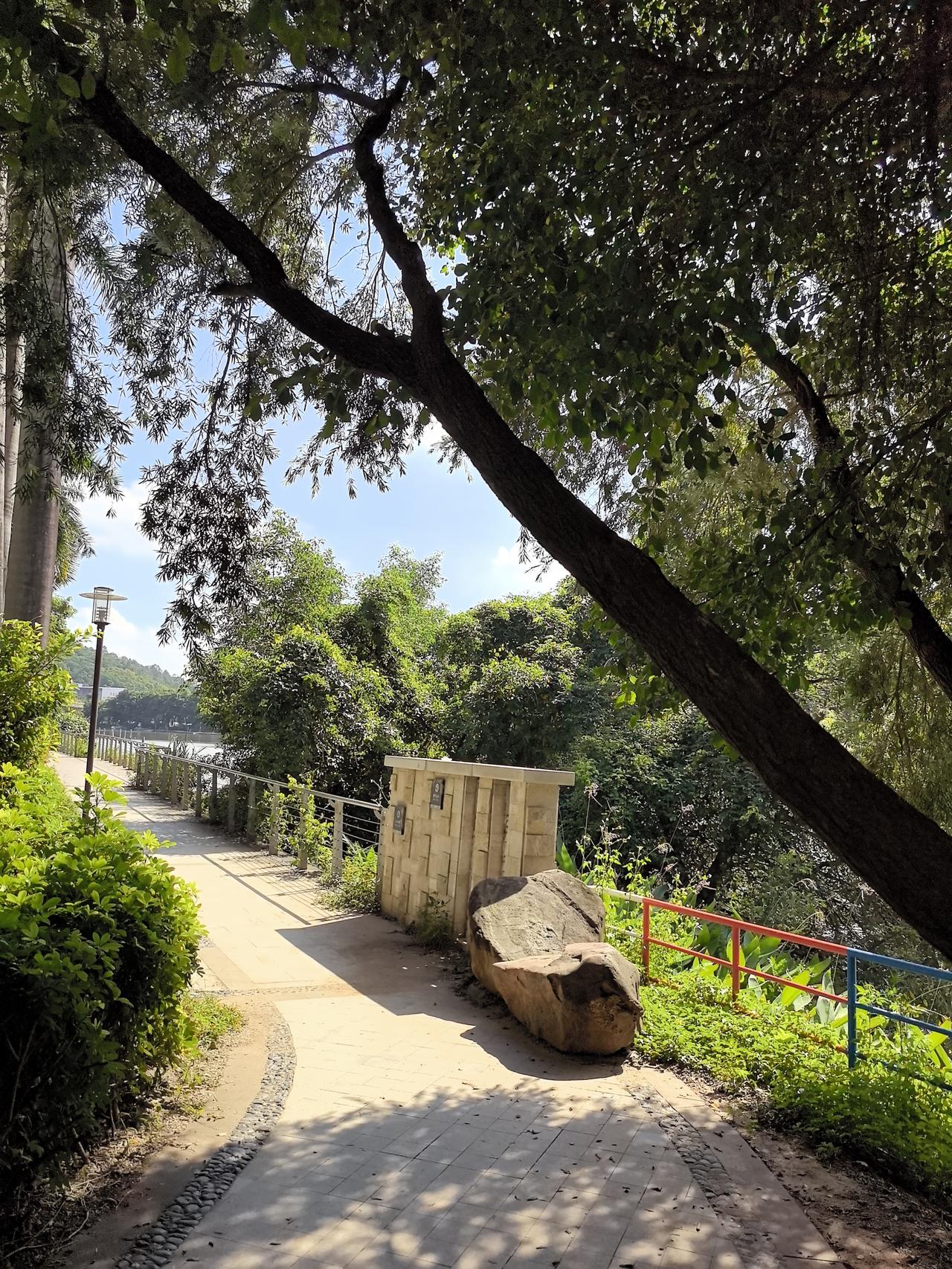 价值观不清晰就会内耗[害羞]


时间自由大于财富自由
Or 财富自由大于时间自