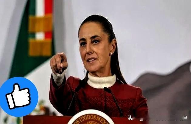 霸气，太亮眼了！

墨西哥新任女总统上任后，第一件事就是给特朗普打了个电话，两国