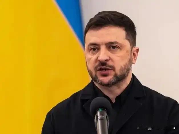 泽连斯基摊开地图谈和平 美乌关键通话透露三大进展
 
12月25日，泽连斯基在社