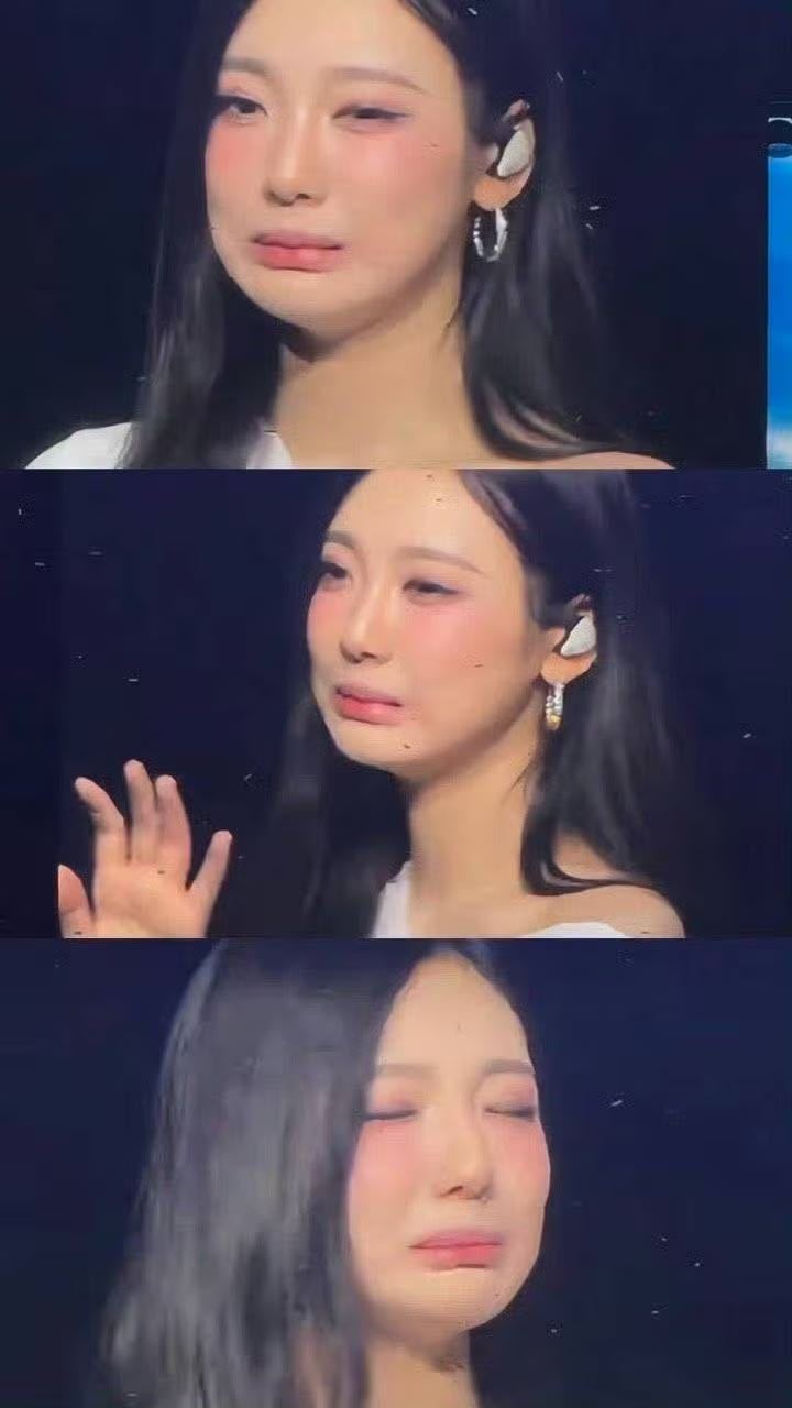 小猫卖萌 ​​​