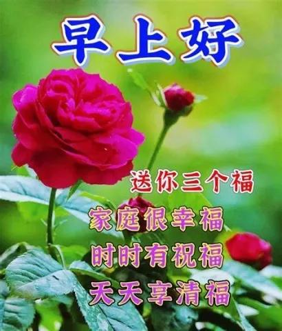 分享一张今天拍到的照片