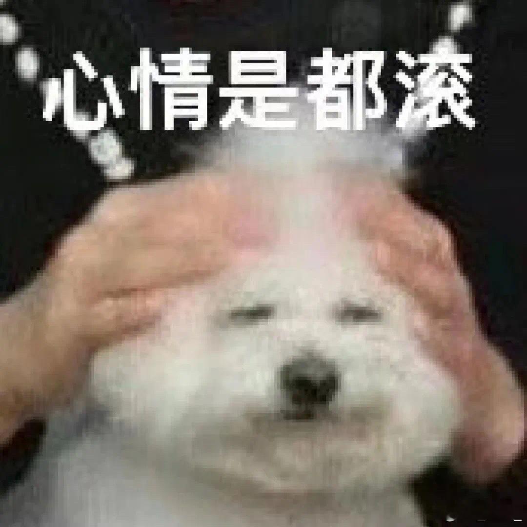 每日一告白屋里最棒的西皮溜溜 妹和老三是一个渣贱故事 妹真的很喜欢招老三然后被老