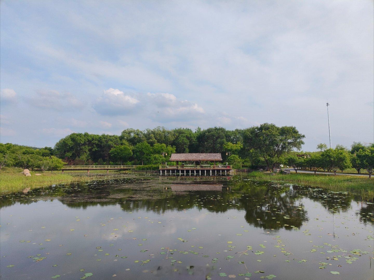 元末时期，钱塘诗人李昱（1314—1381）因为战乱隐居在金华一代，洪武元年（1