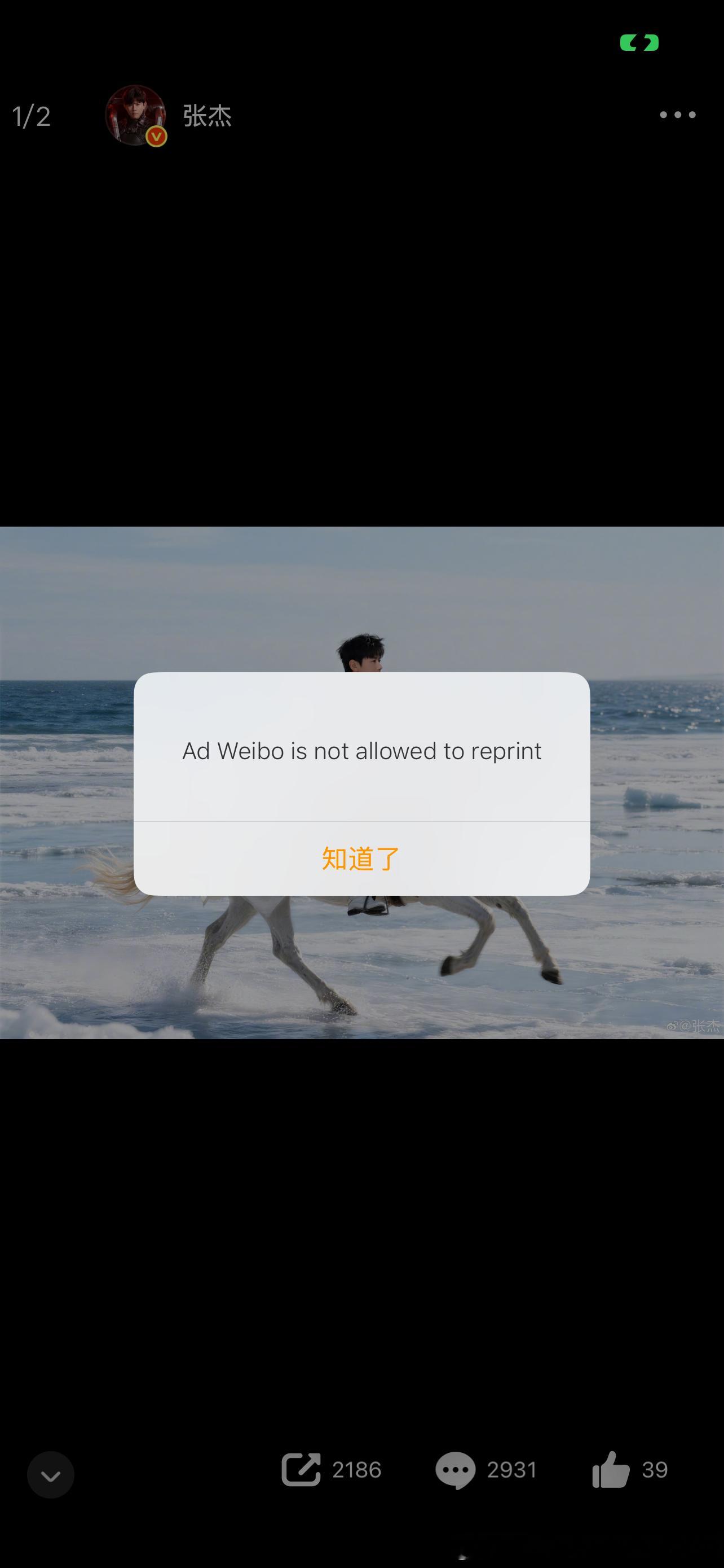 J哥什么时候骑马去了 