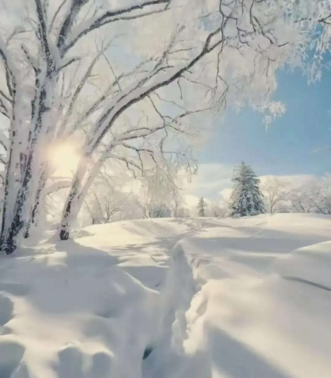 农村老太太拍视频，镜头里常光着上身在屋里晃，大儿子小声劝她披件衫，反被当场怼回“