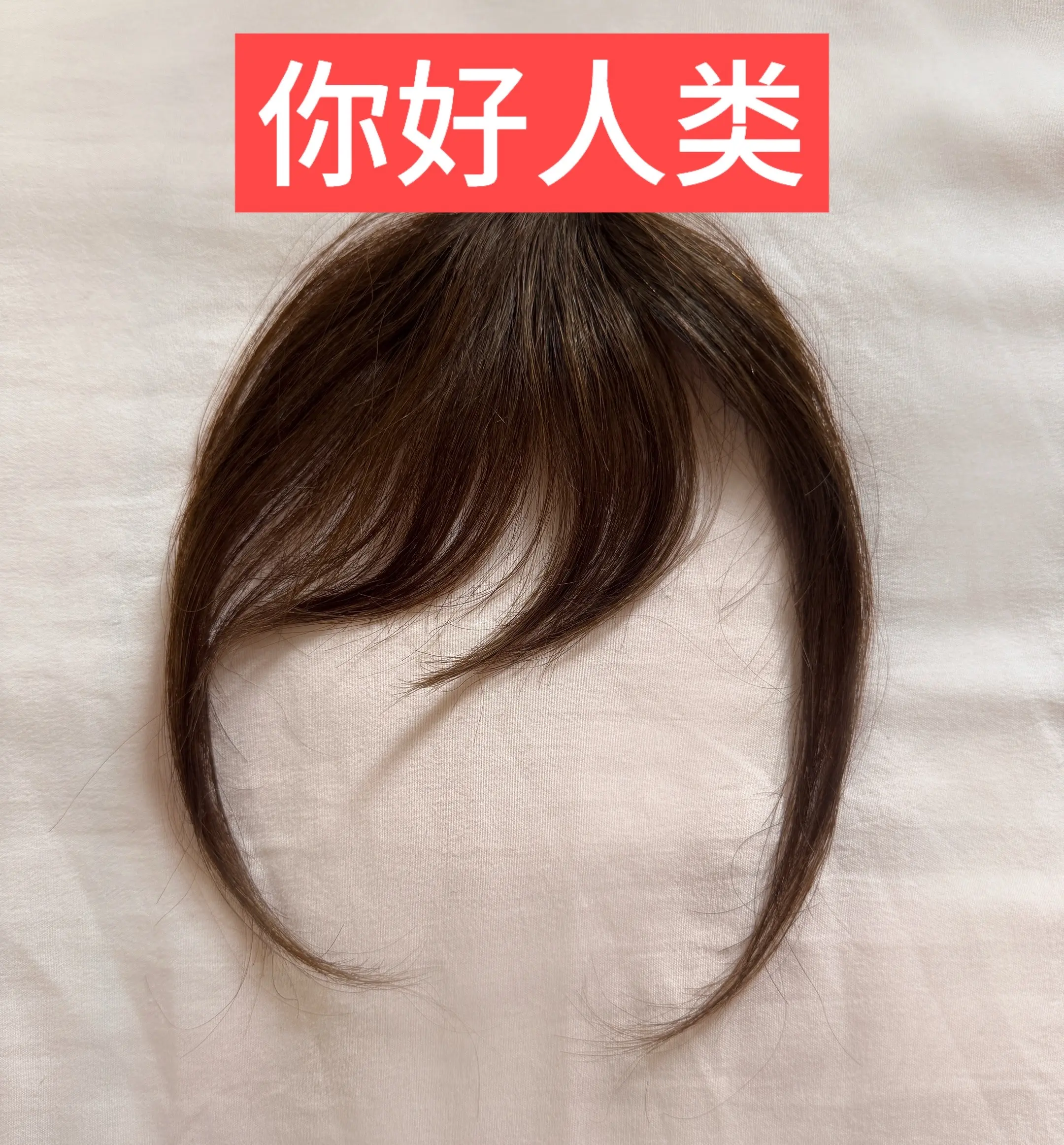 假刘海重度依赖