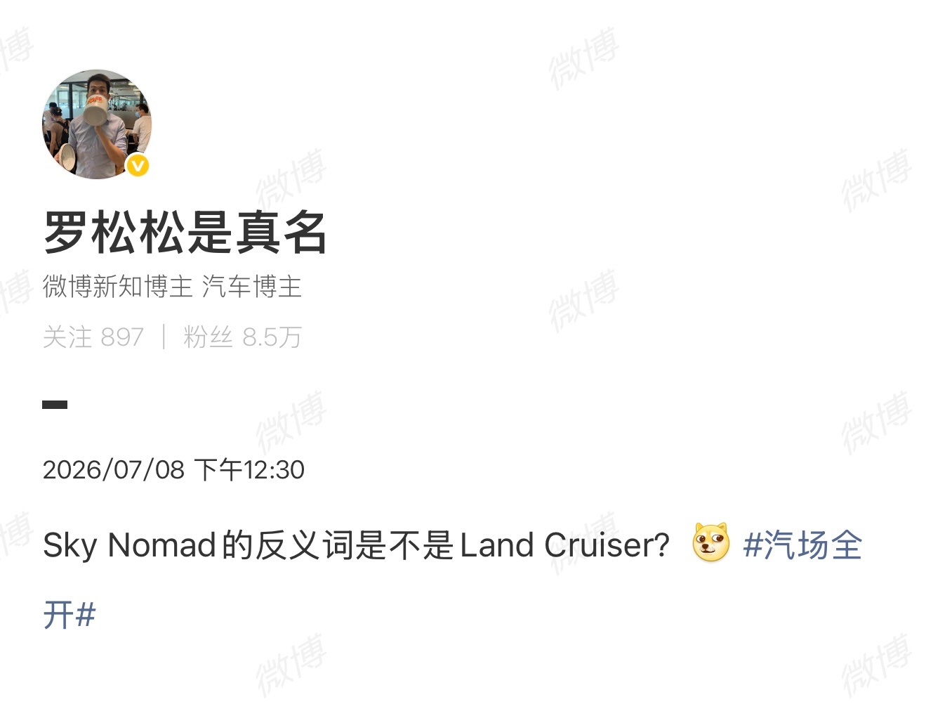 原来 Sky Nomad 是这么来的～那齐秦这歌词厉害了，想、问、天和大地都凑齐
