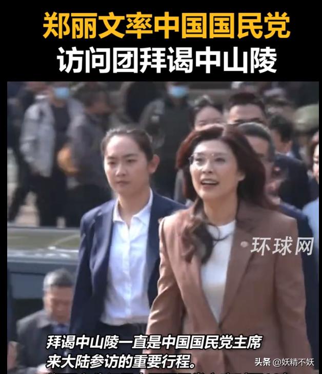 郑丽文在中山陵谒陵，站在她身边的安保人员，竟然是传说中的“中国第一女保镖”。这安