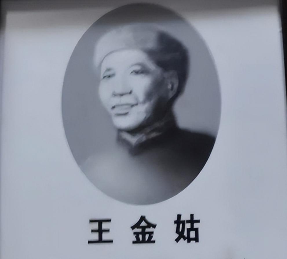 慈母风骨铸将星：贺龙母亲王金姑的坎坷人生与家国情怀
 
王金姑（1864—191
