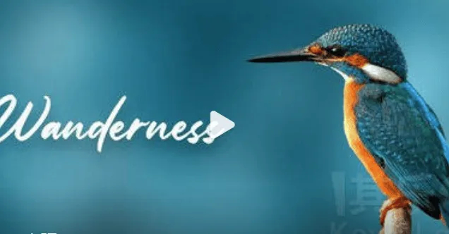 步行模拟新游《Wanderness》结束抢先体验，Steam免费上线步行模拟休闲