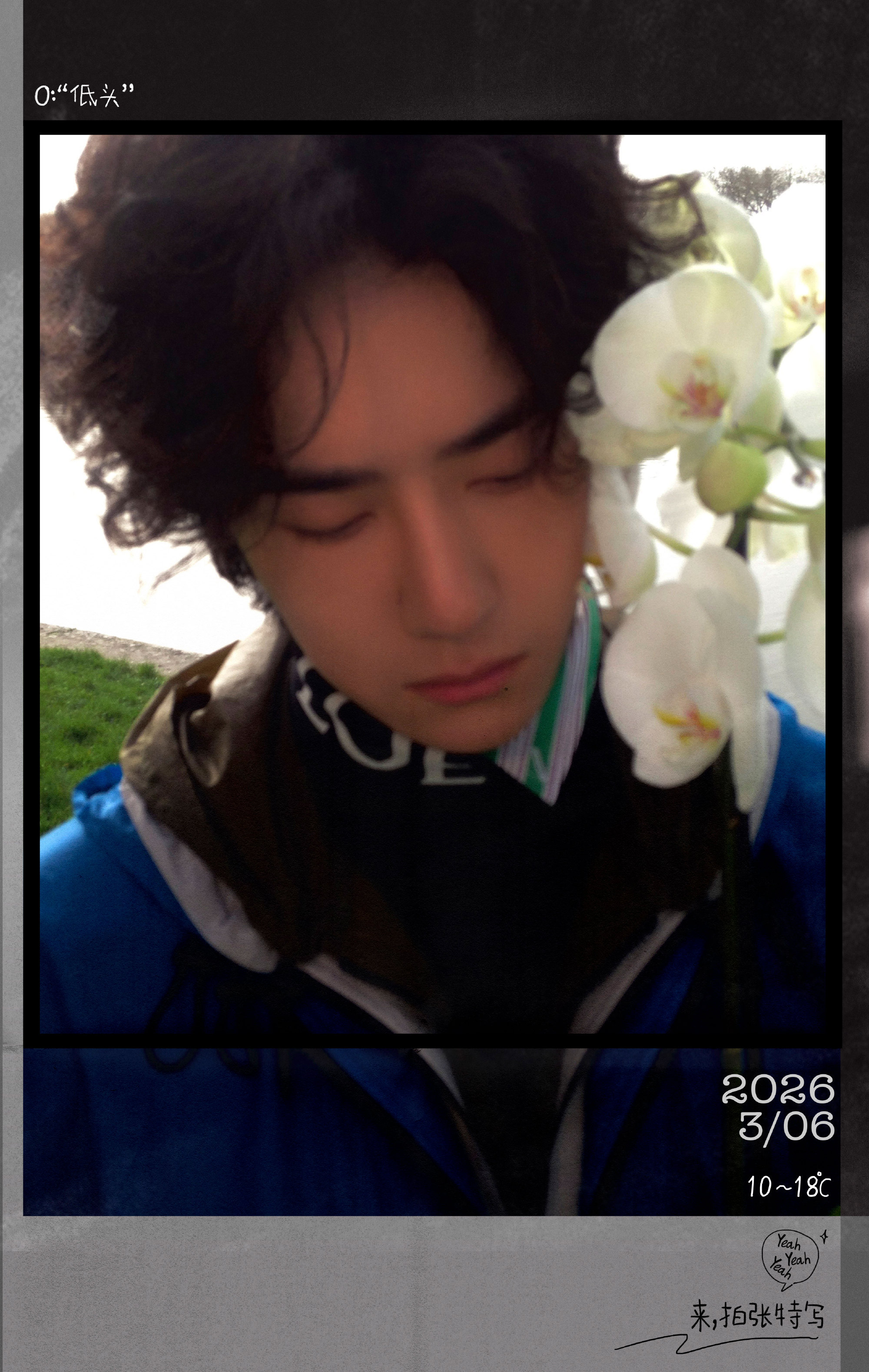 宣发来了，来上👍🏻，点满10条，速度！网页链接