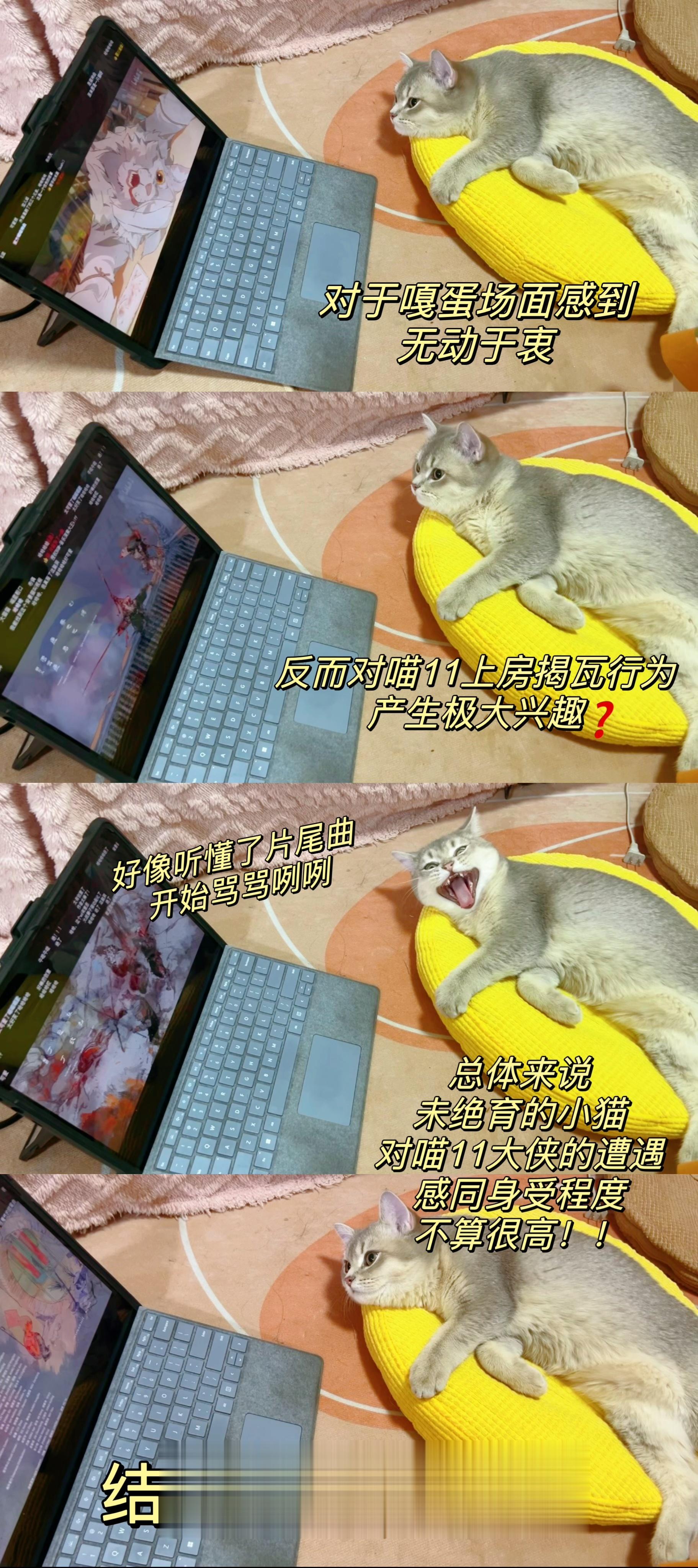 #建议给猫看这个动漫# 网友跟猫猫一起看喵十一，前边看喵大侠大展身手还好好的，甚