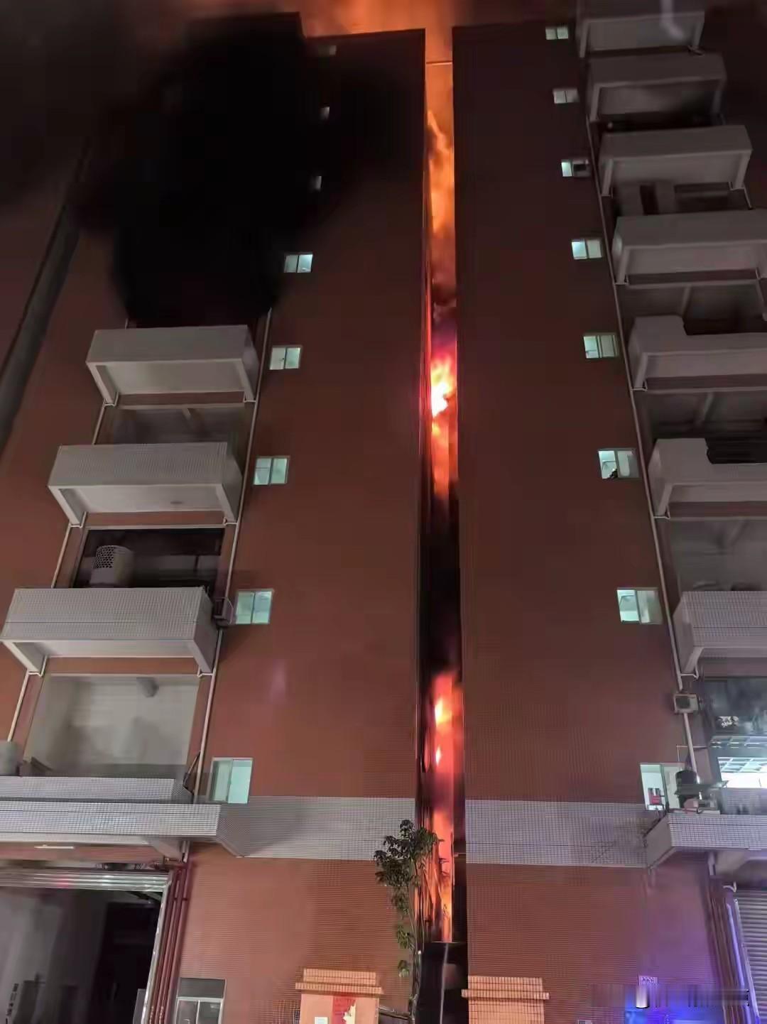 广东肇庆这事儿太闹心了。2025年8月15日凌晨4点，肇庆高要区金利镇金白路的电