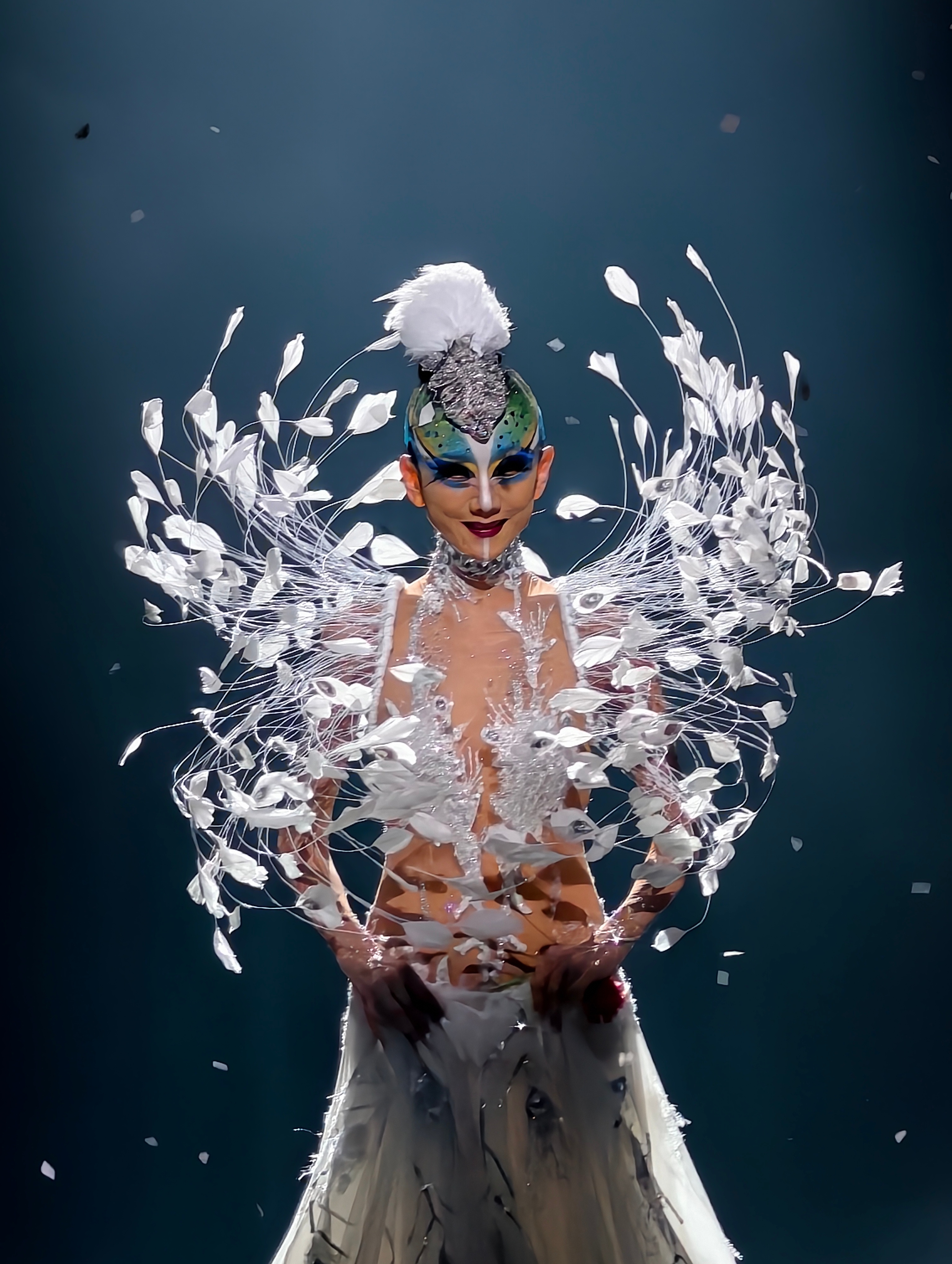 昨天去看了杨丽萍老师的舞剧《孔雀》，真的太美了！服装、妆容、造型、舞蹈、舞台等等