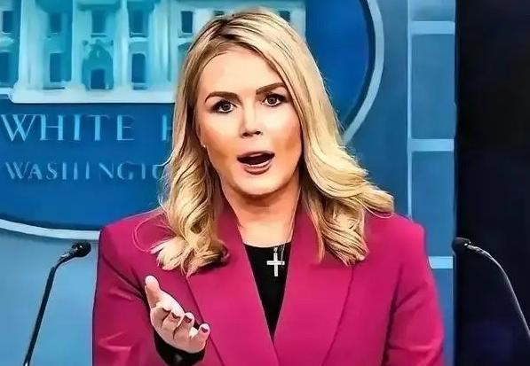 中日冲突持续了这么长时间，日本背后的那条大鱼终究是被咱们钓出来了，不是美国，又能