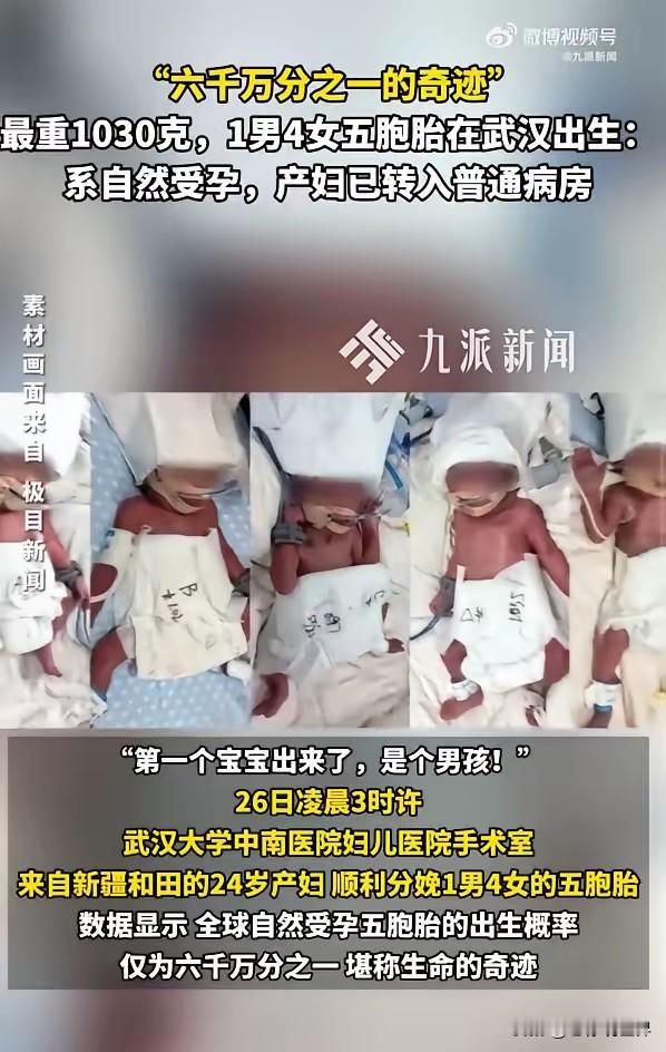 生命奇迹！一男四女五胞胎，自然受孕，安全诞生！这概率，六千万分之一，太神奇了！三