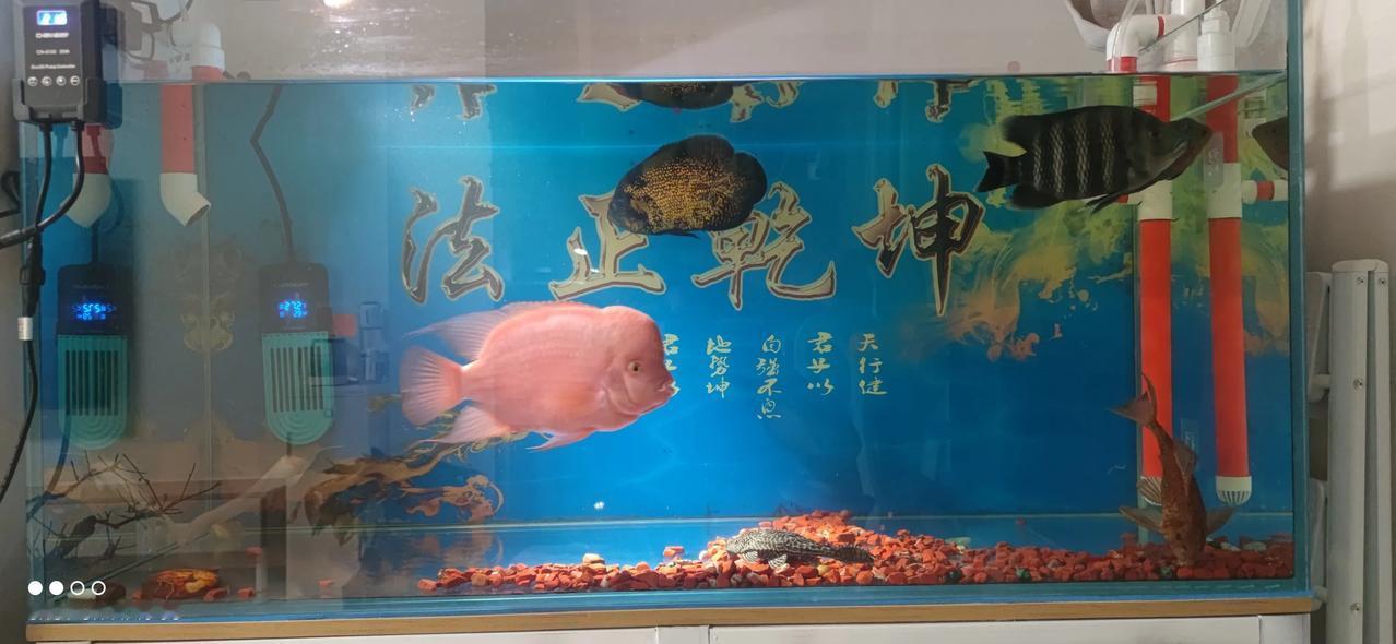 实习律师第127天
        实习律师不要内耗，抓住一切机会提升自己。
 